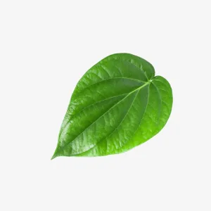Betel Leaves